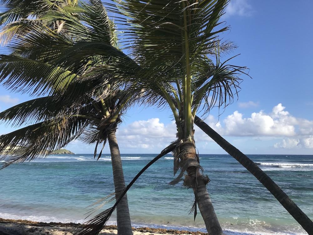 The Palms At Pelican Cove (Adults Only) La Grande Princesse Exterior foto