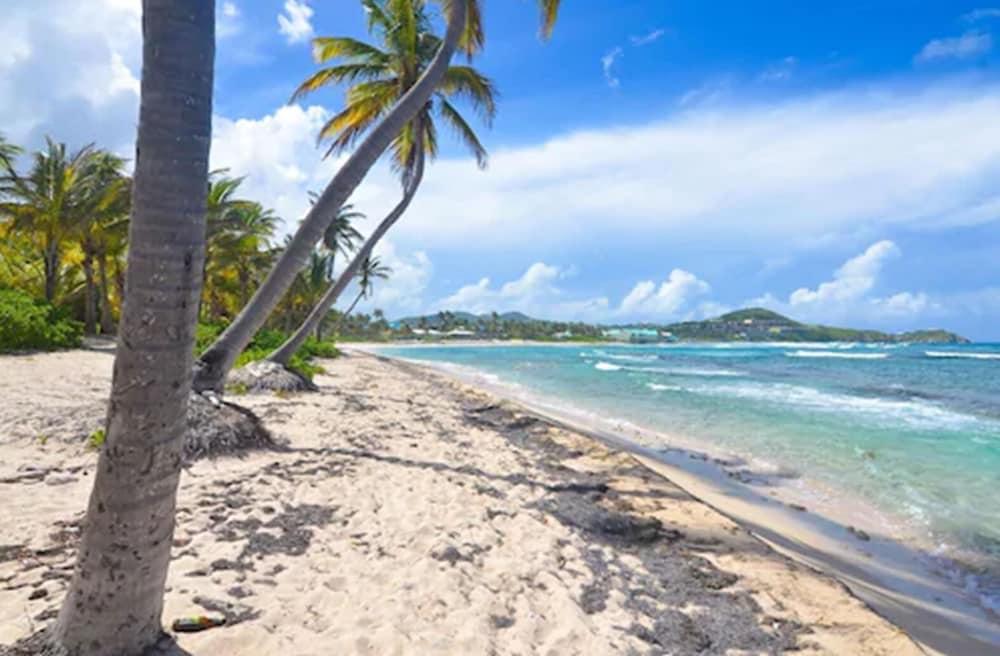 The Palms At Pelican Cove (Adults Only) La Grande Princesse Exterior foto