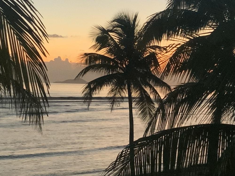The Palms At Pelican Cove (Adults Only) La Grande Princesse Exterior foto